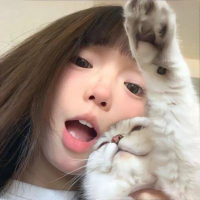少女与战车