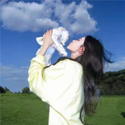 真情不诋樱花落